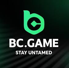 The Ultimate BC.Game Bonus Guide Maximize Your Winnings
